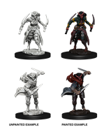 WizKids 73339 - D&D Nolzur's Marvelous Miniatures - Female Tiefling Rogue