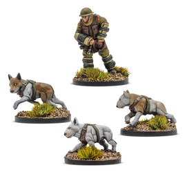 Konflikt '47 - British Cerberus Squad 1