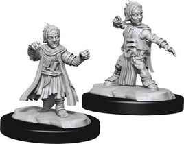WizKids 90328 - Pathfinder Battles - Male Halfling Monk