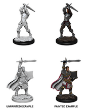 Load image into Gallery viewer, D&amp;D - Nolzur&#39;s Marvelous Miniatures 90060 - Male Human Paladin