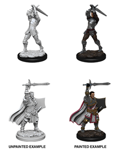 WizKids 90060 - D&D Nolzur's Marvelous Miniatures - Male Human Paladin