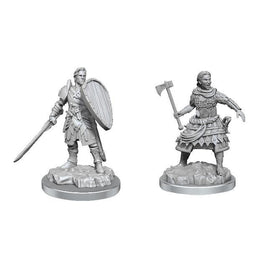 WizKids 90639 - D&D Nolzur's Marvelous Miniatures - Human Fighter