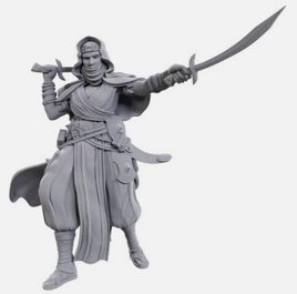 WizKids 90712 - Pathfinder Battles Deep Cuts Desert Giant