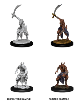 WizKids 90075 - D&D Nolzur's Marvelous Miniatures - Jackalwere