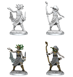 WizKids 75096 - D&D Frameworks Medusa