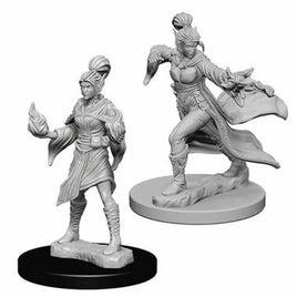 WizKids 72606 - Pathfinder Battles Deep Cuts - Female Elf Sorcerer