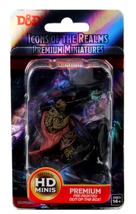 WizKids 93016 - D&D Icons of the Realms Male Tortle Monk