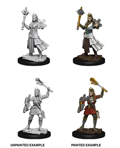 WizKids 73671 - D&D Nolzur's Marvelous Miniatures - Female Human Cleric