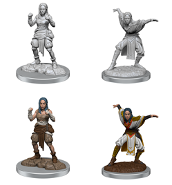 WizKids 90652 - Pathfinder Battles Deep Cuts - Female Half-Elf Monk