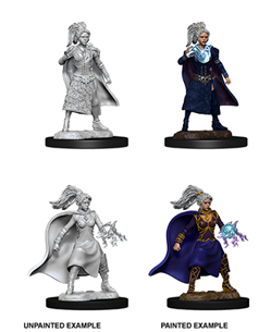 WizKids 73832 - D&D Nolzur's Marvelous Miniatures - Female Human Sorcerer
