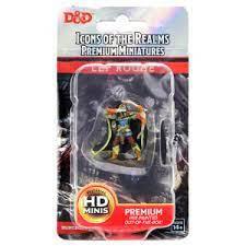 WizKids 93048 - D&D Icons of the Realms Male Elf Rogue