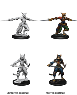 WizKids 73708 - D&D Nolzur's Marvelous Miniatures - Female Tabaxi Rogue