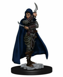 WizKids 77501 - Pathfinder Battles HD Premium - Human Female Rogue