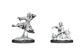 WizKids 90008 - D&D Nolzur's Marvelous Miniatures - Female Human Monk