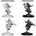 WizKids 73204 - D&D Nolzur's Marvelous Miniatures - Female Air Genasi Rogue