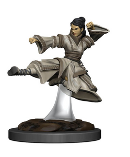 WizKids 93044 - D&D Icons of the Realms Female Human Monk