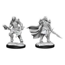 WizKids 90302 - D&D Nolzur's Marvelous Miniatures - Female Dragonborn Fighter