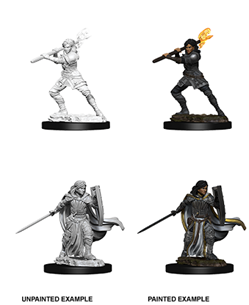 WizKids 72630 - D&D Nolzur's Marvelous Miniatures - Male Dwarf Paladin