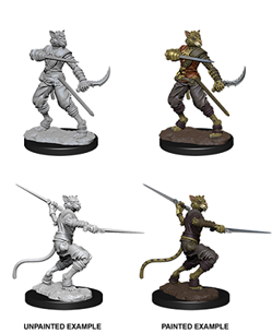 WizKids 73540 - D&D Nolzur's Marvelous Miniatures - Male Tabaxi Rogue