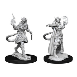 WizKids 90304 - D&D Nolzur's Marvelous Miniatures - Female Tiefling Sorcerer