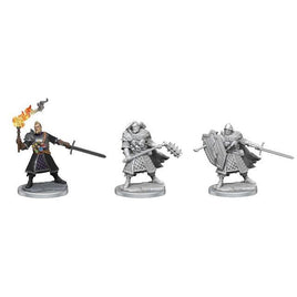 WizKids 75013 - D&D Frameworks Male Human Fighter