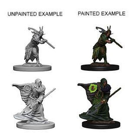 WizKids 72641 - D&D Nolzur's Marvelous Miniatures - Male Elf Druid
