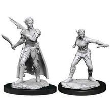 Load image into Gallery viewer, D&amp;D - Nolzur&#39;s Marvelous Miniatures 90148 - Female Shifter Rogue