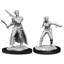 WizKids 90148 - D&D Nolzur's Marvelous Miniatures - Female Shifter Rogue