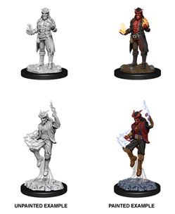WizKids 90058 - D&D Nolzur's Marvelous Miniatures - Male Tiefling Sorcerer