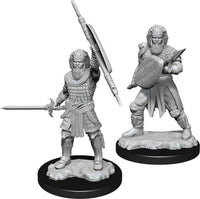 WizKids 90144 - D&D Nolzur's Marvelous Miniatures - Male Human Fighter