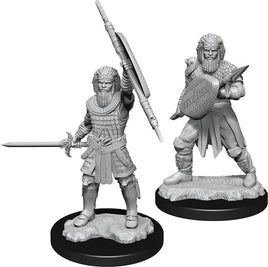 WizKids 90144 - D&D Nolzur's Marvelous Miniatures - Male Human Fighter