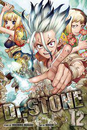 Dr. Stone Graphic Novel Vol 12