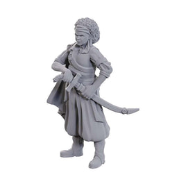 WizKids 90110 - D&D Nolzur's Marvelous Miniatures - Ansalon Human Rogue