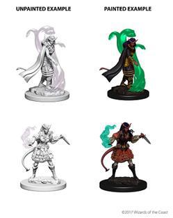 WizKids 73202 - D&D Nolzur's Marvelous Miniatures - Female Tiefling Sorcerer