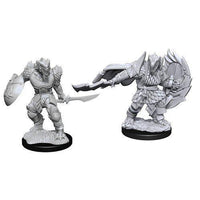 WizKids 90303 - D&D Nolzur's Marvelous Miniatures - Male Dragonborn Fighter