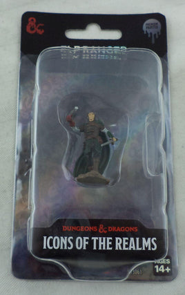 WizKids 93061 - D&D Icons of the Realms Male Elf Ranger