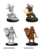 WizKids 73390 - D&D Nolzur's Marvelous Miniatures - Male Human Druid