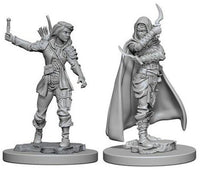 WizKids 72603 - Pathfinder Battles Deep Cuts - Female Human Rogue