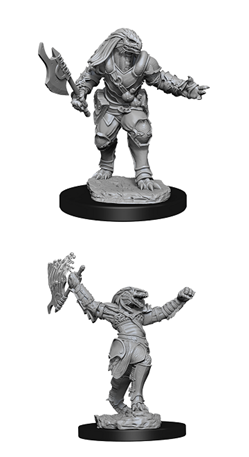 WizKids 90001 - D&D Nolzur's Marvelous Miniatures - Female Dragonborn Fighter