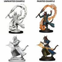 WizKids 73201 - D&D Nolzur's Marvelous Miniatures - Male Tiefling Sorcerer