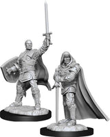 WizKids 90136 - D&D Nolzur's Marvelous Miniatures - Male Human Paladin