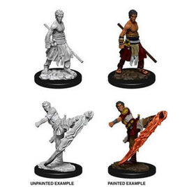 WizKids 73838 - D&D Nolzur's Marvelous Miniatures - Male Half Elf Monk
