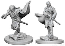 Load image into Gallery viewer, D&amp;D - Nolzur&#39;s Marvelous Miniatures 72565 - Vampires