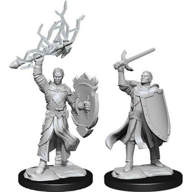 WizKids - D&D Nolzur's Marvelous Miniatures 90230 - Half-Elf Paladin Male