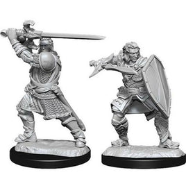 WizKids 90220 - D&D Nolzur's Marvelous Miniatures - Male Human Paladin