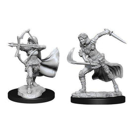 WizKids 90305 - D&D Nolzur's Marvelous Miniatures - Female Air Genasi