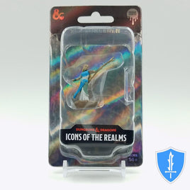 WizKids 93053 - D&D Icons of the Realms Female Elf Sorcerer
