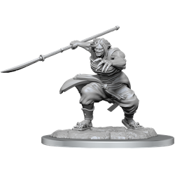 WizKids 90490 - D&D Nolzur's Marvelous Miniatures - Oni Female