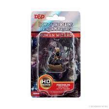 WizKids 93041 - D&D Icons of the Realms Male Human Wizard