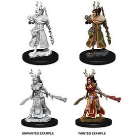 WizKids 73701 - D&D Nolzur's Marvelous Miniatures - Female Human Druid